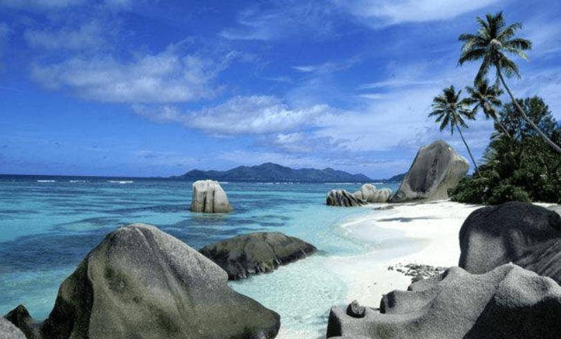 捕杀海鸟的“巨蟹”被它夹一下很可能重伤麻将胡了试玩模拟器能徒手开椰子壳上树(图14)