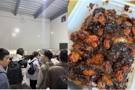 “感悟非遗匠心·传承千年文脉”主题调研活动麻将胡了杨凌非遗协会与钱学森书院携手开展(图3)